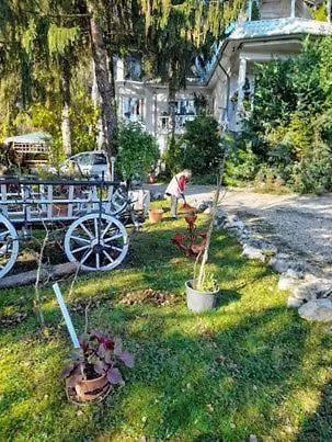 Fehér Hintó Affittacamere Miskolc