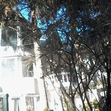 Feher Hinto Μίσκολτς