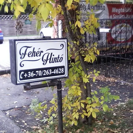 Fehér Hintó Affittacamere