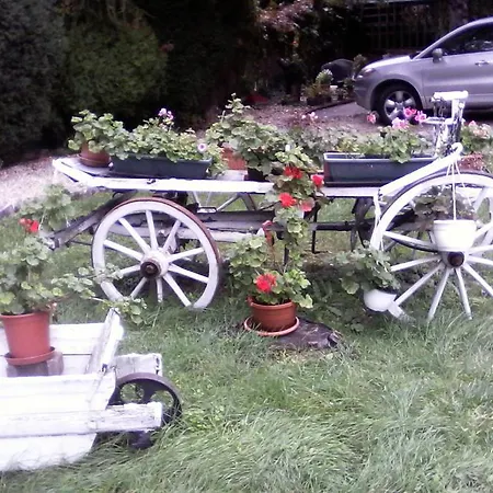 Affittacamere Fehér Hintó *