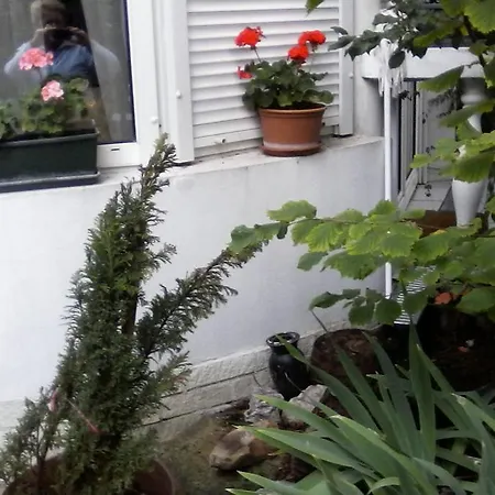 Fehér Hintó Affittacamere