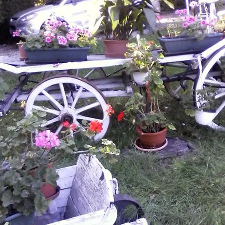 Affittacamere Fehér Hintó Miskolc