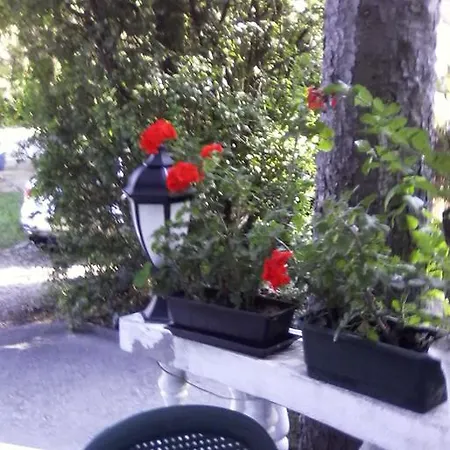 Fehér Hintó Miskolc