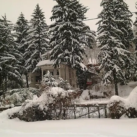 Feher Hinto * Miskolc