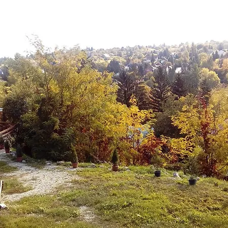 Fehér Hintó Casa de hóspedes