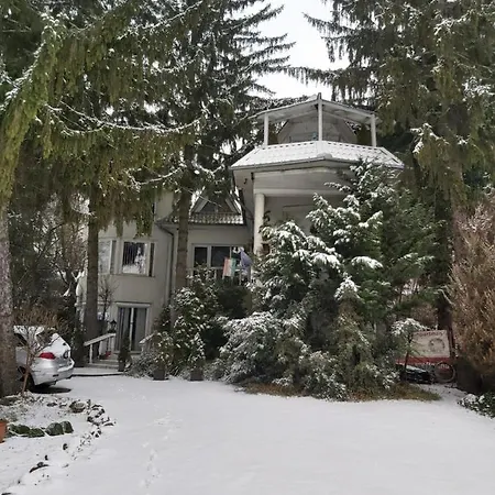 Casa de hóspedes Fehér Hintó