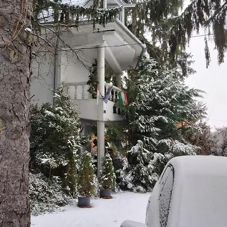 Feher Hinto Gæstehus Miskolc