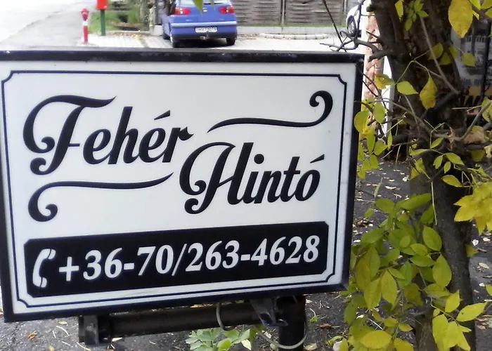 Feher Hinto 미슈콜츠