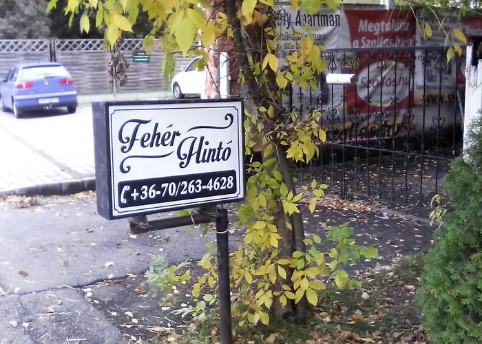 Feher Hinto 게스트하우스