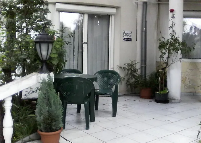 Feher Hinto * 미슈콜츠