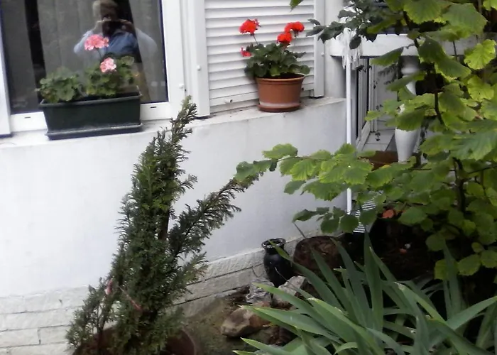 Feher Hinto 게스트하우스