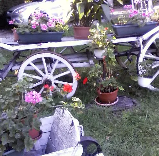 게스트하우스 Feher Hinto 미슈콜츠