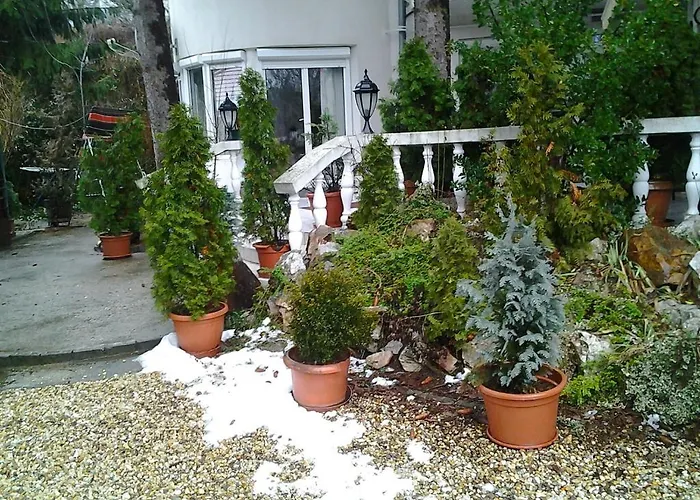 Feher Hinto 게스트하우스 *