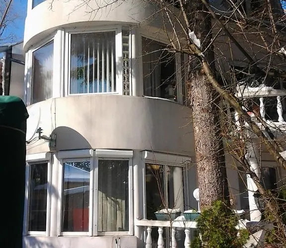 Feher Hinto * 미슈콜츠