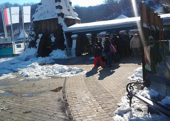 Feher Hinto 미슈콜츠