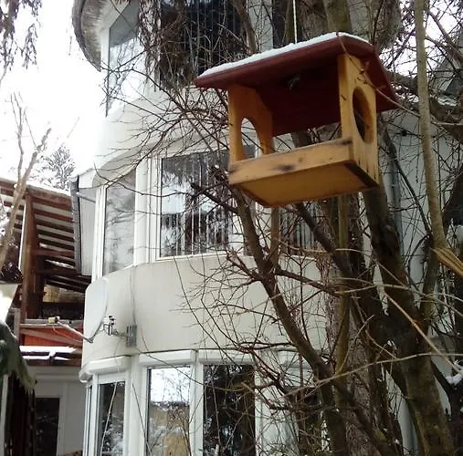 Feher Hinto 게스트하우스 미슈콜츠