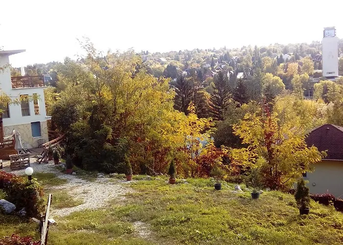 Feher Hinto 게스트하우스